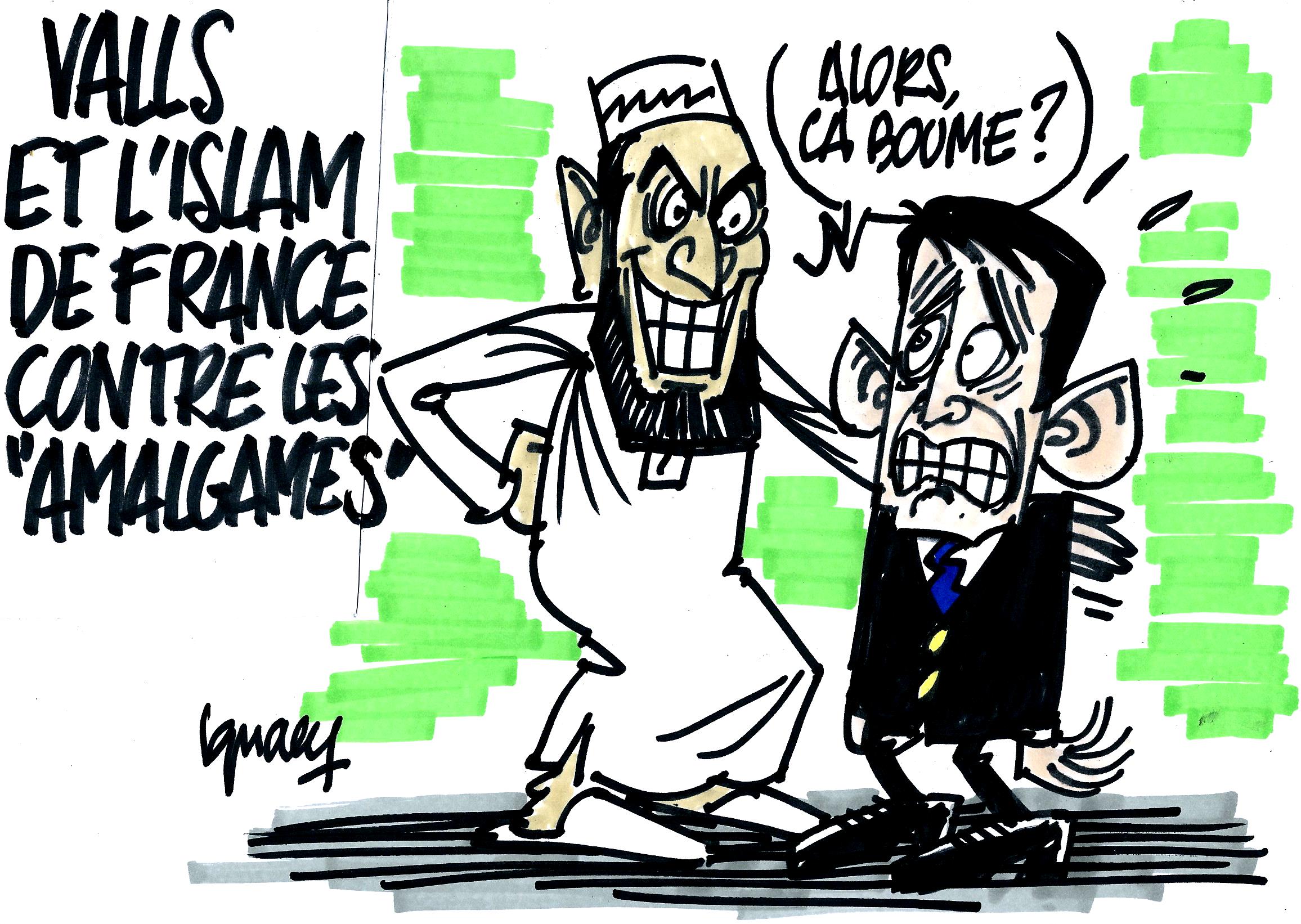 ignace_valls_cfcm_islam_de_france_-tv_libertes