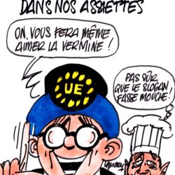 ignace_insectes_nourriture_union_europeenne-mpi