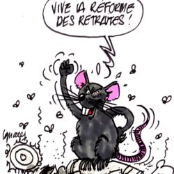 Marée de rats