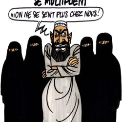 ignace_ultradroite_manifestations_multipliees_immigration-mpi